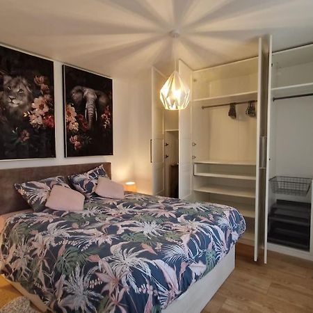 Modern Jungle - Colmar Apartment Ngoại thất bức ảnh