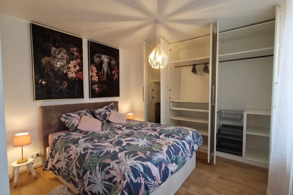 Modern Jungle - Colmar Apartment Ngoại thất bức ảnh